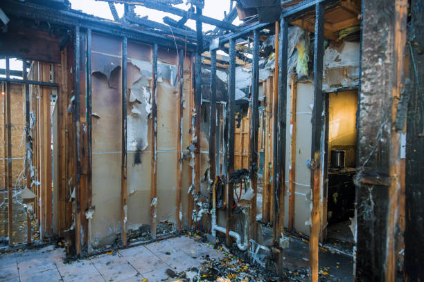 Professional Fire Damage Removal technician working in Florence, TX